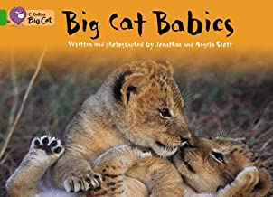 BIG CAT AMERICAN - BIG CAT AMERICAN Babies Pb Green