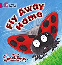 BIG CAT AMERICAN - Fly Away Home Workbook Pb Pink B