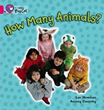 BIG CAT AMERICAN - How Many Animals Pb Pink A