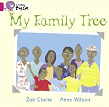 BIG CAT AMERICAN - My Family Tree Workbook Pb Pink A