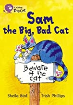 BIG CAT AMERICAN - Sam The Big Bad Cat Workbook Yellow