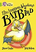 BIG CAT AMERICAN - The Amazing Adventures Of The Batbird Workbook Green