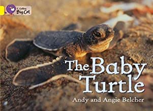 BIG CAT AMERICAN - The Baby Turtle Workbook Pb Yellow