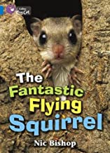 BIG CAT AMERICAN - The Fantastic Flying Squirrel Workbook Pb Blue