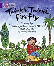 BIG CAT AMERICAN - Twinkle Twinkle Firefly Workbook Purple