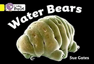 BIG CAT AMERICAN - Water Bears Workbook Pb Yellow