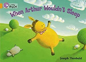 BIG CAT AMERICAN - When Arthur Wouldnt Sleep Workbook Orange