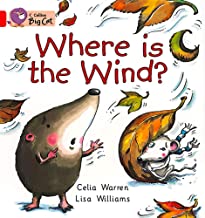 BIG CAT AMERICAN - Where Is The Wind Workbook Pb Red B