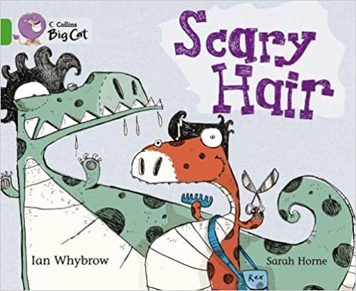 Big Cat - Scary Hair Workbook Green