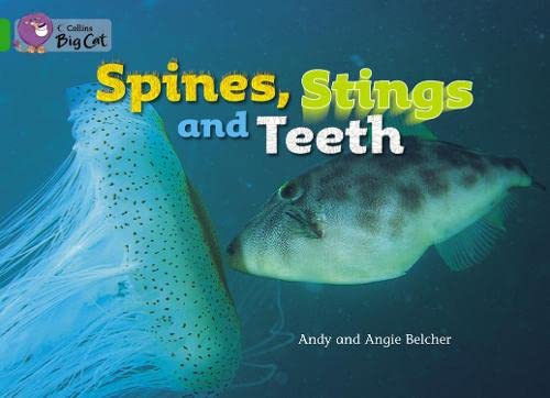 Big Cat - Spines Stings And Teeth Workbook Green