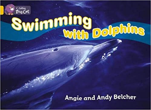 Big Cat - Swimming With Dolphins Workbook Gold