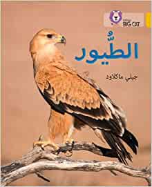 Big Cat Arabic -  Birds Level 9