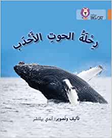 Big Cat Arabic -  Journey Of Humpback Whales Level 12