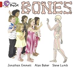 [9780007475902] BIG CAT AMERICAN - Bones Pb Red B