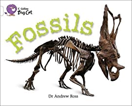 [9780007475353] BIG CAT AMERICAN - Fossils Pb White