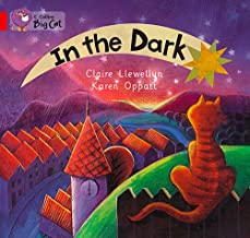 [9780007471584] BIG CAT AMERICAN - In The Dark Workbook Red A