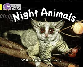 [9780007469901] BIG CAT AMERICAN - Night Animals Workbook Pb Yellow