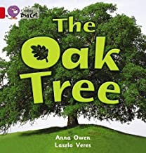 [9780007469819] BIG CAT AMERICAN - Oak Tree Workbook Pb Red B
