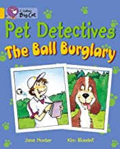 [9780007470167] BIG CAT AMERICAN - Pet Detectives The Ball Burglary Workbook Gold