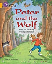 [9780007470549] BIG CAT AMERICAN - Peter Wolf Workbook Gold