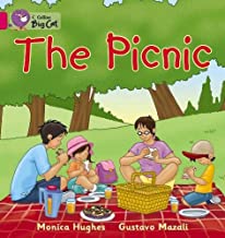 [9780007470822] BIG CAT AMERICAN - Picnic Workbook Pink A