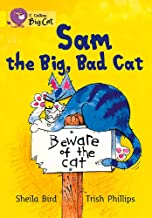 [9780007471942] BIG CAT AMERICAN - Sam And The Big Bad Cat Pb Yellow