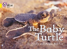 [9780007475612] BIG CAT AMERICAN - The Baby Turtle Pb Yellow