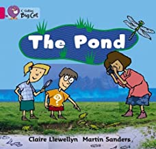 [9780007472741] BIG CAT AMERICAN - The Pond Pb Pink B