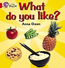 [9780007471676] BIG CAT AMERICAN - What Do You Like Workbook Pb Red B