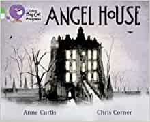 [9780007428922] Big Cat - Angel House Progress Green