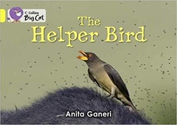 [9780007473045] Big Cat - Helper Bird Workbook