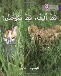 [9780008156473] Big Cat Arabic -  Tame Cat Wild Cat Level 8