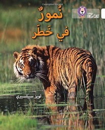 [9780008156510] Big Cat Arabic -  Tigers In Danger Level 10